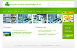 青島網景 做客戶信賴的企業，專業打造美工模板與網站建設